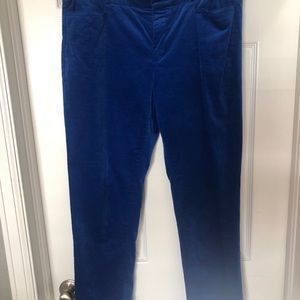 Electric blue velvety pants